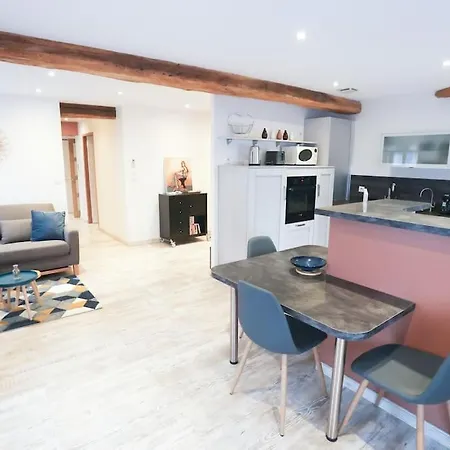 Appartement Chaleureux Cosy Et Climatise Karine Hospitality Saint-Just-la-Pendue Exterior photo