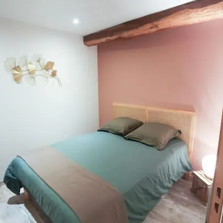 Appartement Chaleureux Cosy Et Climatise Karine Hospitality Saint-Just-la-Pendue Exterior photo