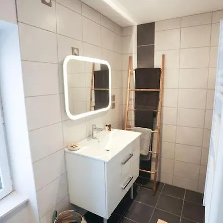 Appartement Chaleureux Cosy Et Climatise Karine Hospitality Saint-Just-la-Pendue Exterior photo